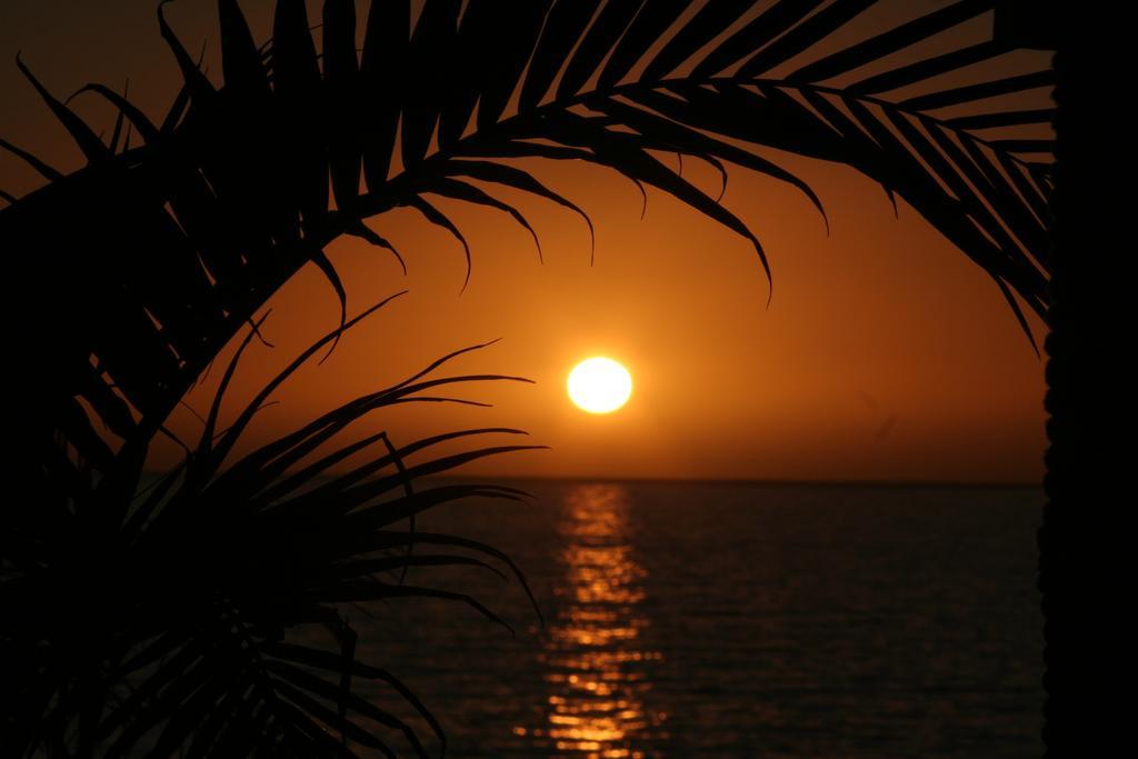 One Love Maktub بول دو مار المظهر الخارجي الصورة